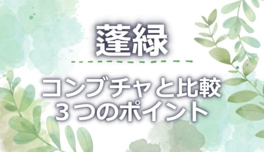 蓬緑とコンブチャを比較！3つの違いと選び方のポイントを調査